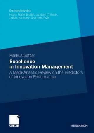 Kniha Excellence in Innovation Management Markus Sattler