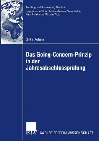 Kniha Das Going Concern Prinzip in Der Jahresabschlusspr fung Silke Adam