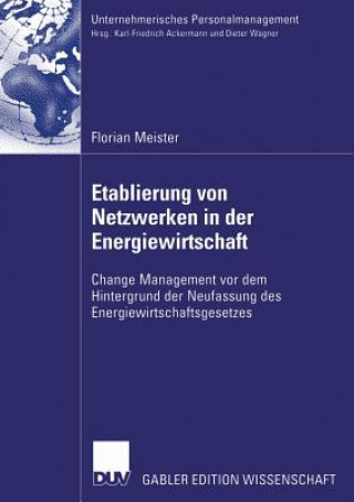 Libro Etablierung Von Netzwerken in Der Energiewirtschaft Florian Meister