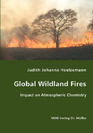 Kniha Global Wildland Fires Judith Johanna Hoelzemann