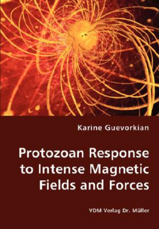 Książka Protozoan Response to Intense Magnetic Fields and Forces Karine Guevorkian