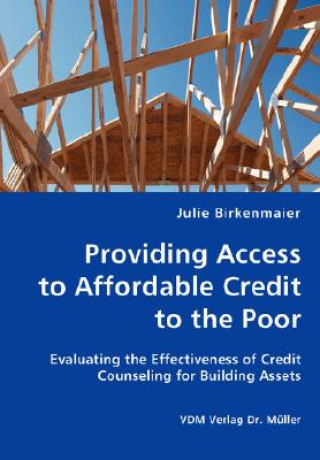 Könyv Providing Access to Affordable Credit to the Poor - Evaluating the Effectiveness of Credit Counseling for Building Assets Birkenmaier