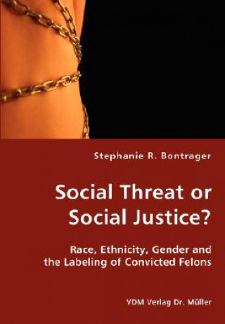 Kniha Social Threat or Social Justice? Stephanie Bontrager