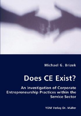 Könyv Does CE Exist? - An Investigation of Corporate Entrepreneurship Practices within the Service Sector Michael G Brizek