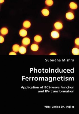 Книга Photoinduced Ferromagnetism Subodha Mishra