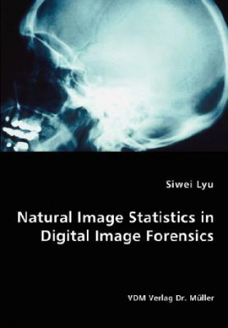 Książka Natural Image Statistics in Digital Image Forensics Siwei Lyu