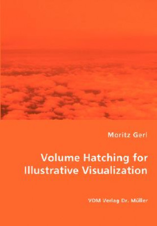Könyv Volume Hatching for Illustrative Visualization Moritz Gerl