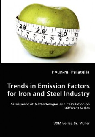 Könyv Trends in Emission Factors for Iron and Steel Industry - Assessment of Methodologies and Calculation on Different Scales Hyun-Mi Palatella