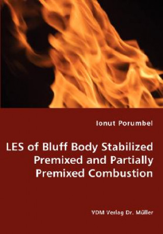 Книга LES of Bluff Body Stabilized Premixed and Partially Premixed Combustion Ionut Porumbel