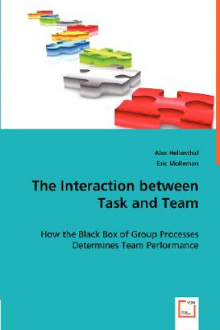 Buch Interaction between Task and Team Eric Molleman
