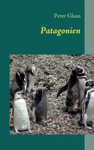 Buch Patagonien Peter Glaus