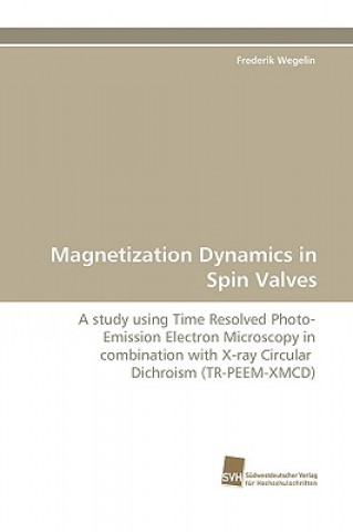 Könyv Magnetization Dynamics in Spin Valves Frederik Wegelin