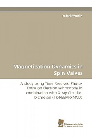 Kniha Magnetization Dynamics in Spin Valves Frederik Wegelin