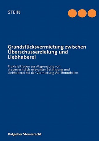 Könyv Grundstucksvermietung zwischen UEberschusserzielung und Liebhaberei Michael Stein