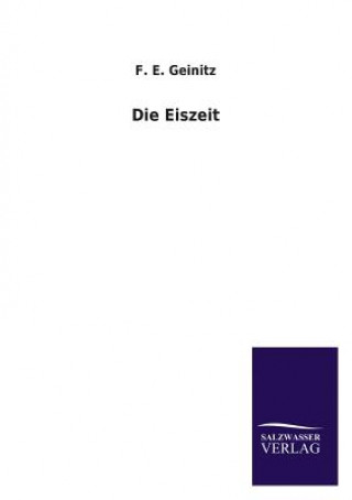 Buch Eiszeit F E Geinitz