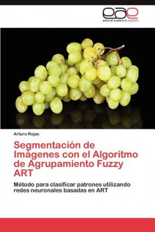 Book Segmentacion de Imagenes con el Algoritmo de Agrupamiento Fuzzy ART Arturo Rojas