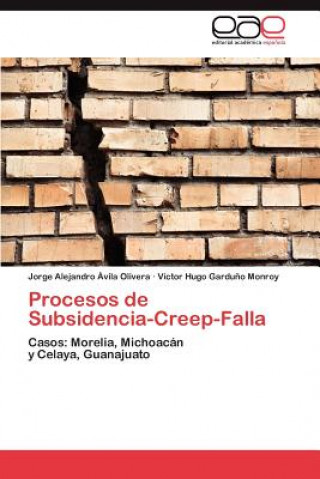 Книга Procesos de Subsidencia-Creep-Falla Victor Hugo Garduno Monroy