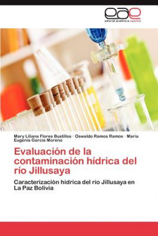 Livre Evaluacion de la contaminacion hidrica del rio Jillusaya Maria Eugenia Garcia Moreno