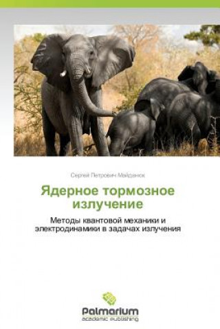 Kniha Yadernoe Tormoznoe Izluchenie Maydanyuk Sergey Petrovich
