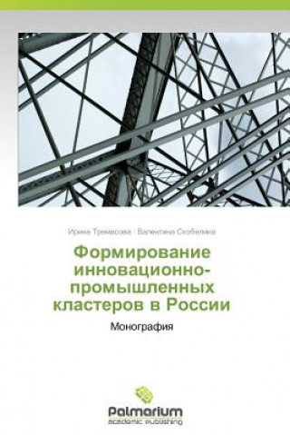 Buch Formirovanie Innovatsionno-Promyshlennykh Klasterov V Rossii Skobelina Valentina