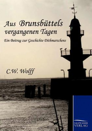 Buch Aus Brunsbuttels vergangenen Tagen C W Wolff