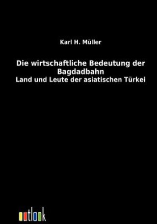 Kniha wirtschaftliche Bedeutung der Bagdadbahn Karl H M Ller