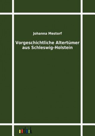 Carte Vorgeschichtliche Altertumer aus Schleswig-Holstein Johanna Mestorf