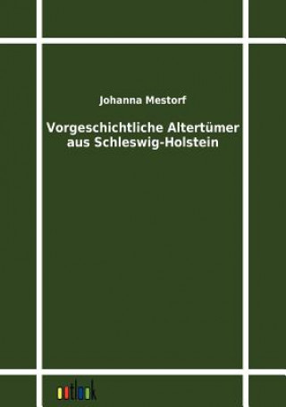 Kniha Vorgeschichtliche Altertumer aus Schleswig-Holstein Johanna Mestorf