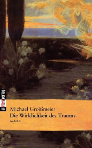 Könyv Wirklichkeit des Traums Michael Groi Meier