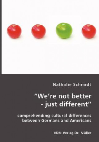 Kniha We're not better - just different Schmidt