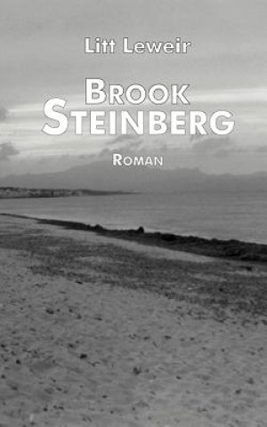 Könyv Brook Steinberg Litt Leweir