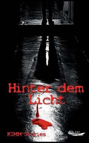 Kniha Hinter dem Licht Yves Drube