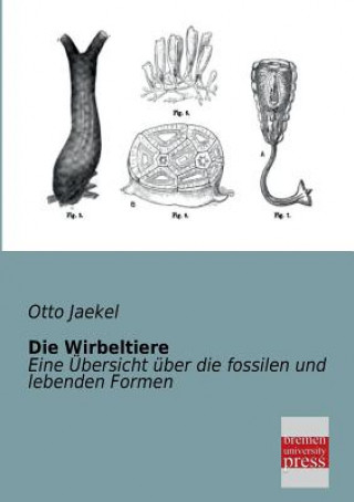 Книга Wirbeltiere Otto Jaekel