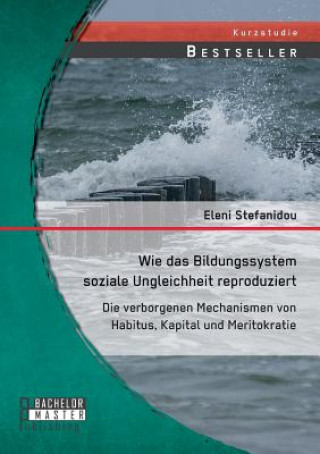 Book Wie das Bildungssystem soziale Ungleichheit reproduziert Eleni Stefanidou