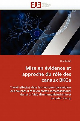 Kniha Mise En  vidence Et Approche Du R le Des Canaux Bkca Elise Bertet