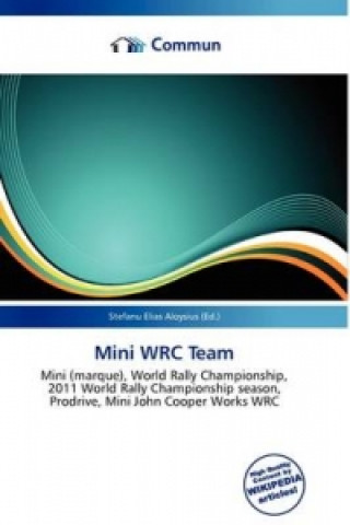 Carte Mini Wrc Team 
