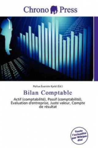 Knjiga Bilan Comptable 