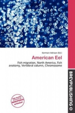 Knjiga American Eel 