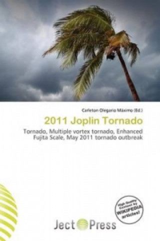 Book 2011 Joplin Tornado 