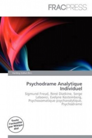 Knjiga Psychodrame Analytique Individuel 