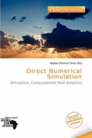 Knjiga Direct Numerical Simulation 