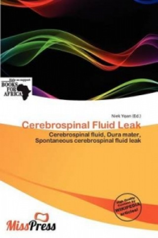 Kniha Cerebrospinal Fluid Leak 