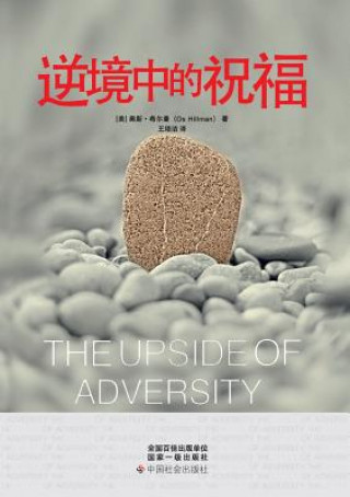Kniha Upside of Adversity Os Hillman