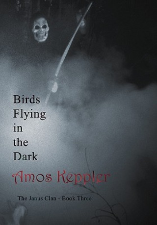 Książka Birds Flying in the Dark Amos Keppler