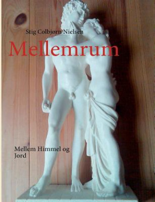Buch Mellemrum Stig Colbj Nielsen