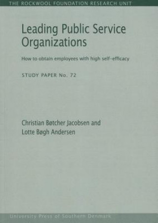 Книга Leading Public Service Organizations Lotte Bogh Andersen