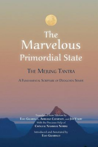 Książka Marvelous Primordial State Elio Guarisco