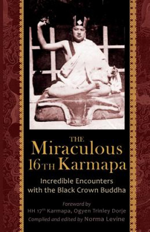 Книга Miraculous 16th Karmapa Naomi Levine