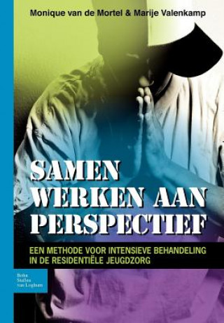 Книга Samen Werken Aan Perspectief Marije Valenkamp