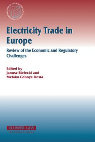 Kniha Electricity Trade in Europe Review of the Economic and Regulatory Changes Janusz Bielecki